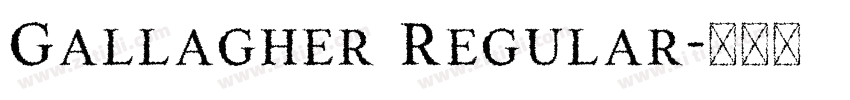 Gallagher Regular字体转换